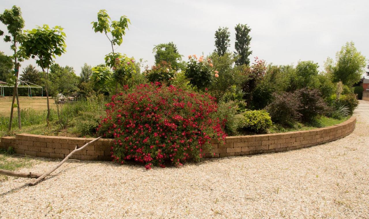 La Trunera Guest House อาเลสซานเดรีย ภายนอก รูปภาพ